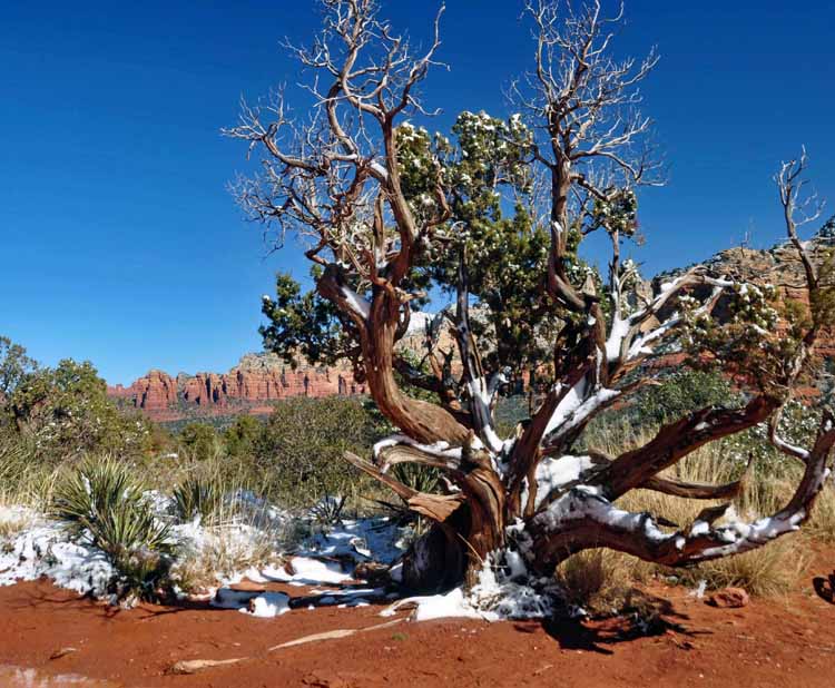 red rock 